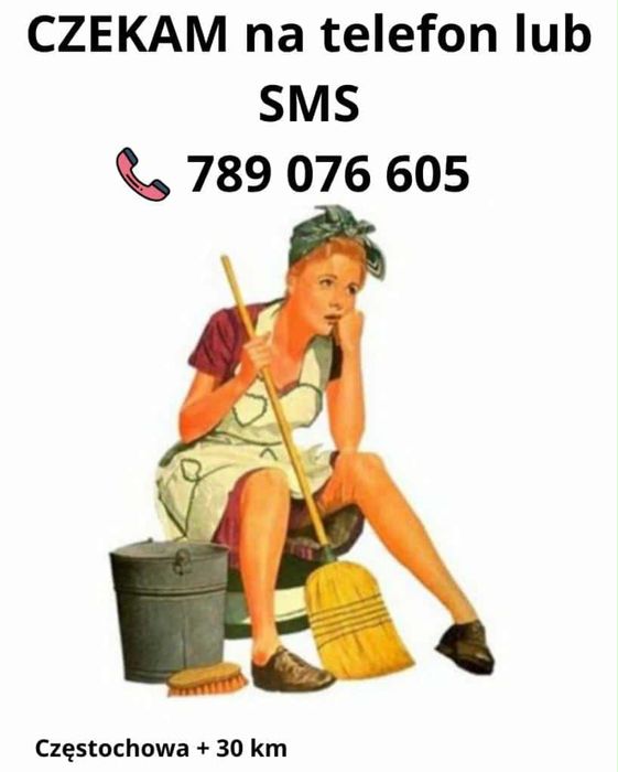 Sprzątanie mieszkań, myicie okien