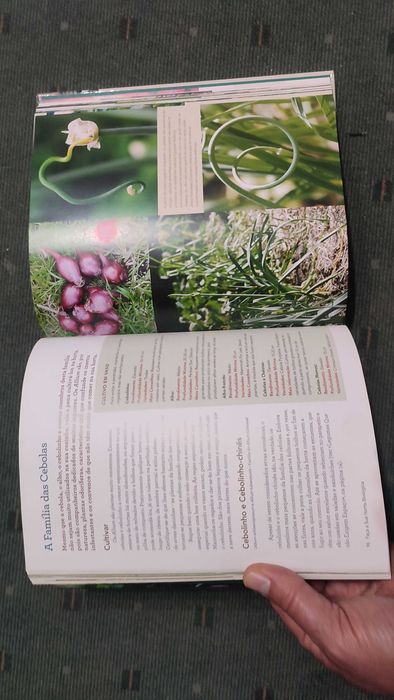 Faça a sua Horta Biológica - Gayla Trail