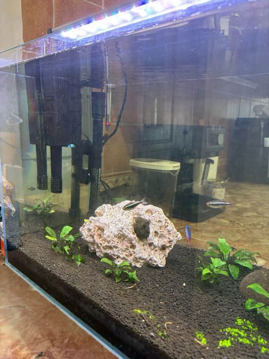 Aquario completo