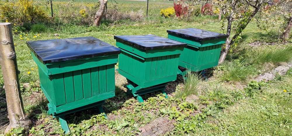 3x ul Wielkopolski, dennica, stojak i daszek, bez korpusu