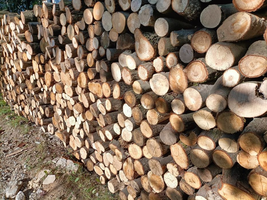 Drewno KOMINKOWE sezonowane