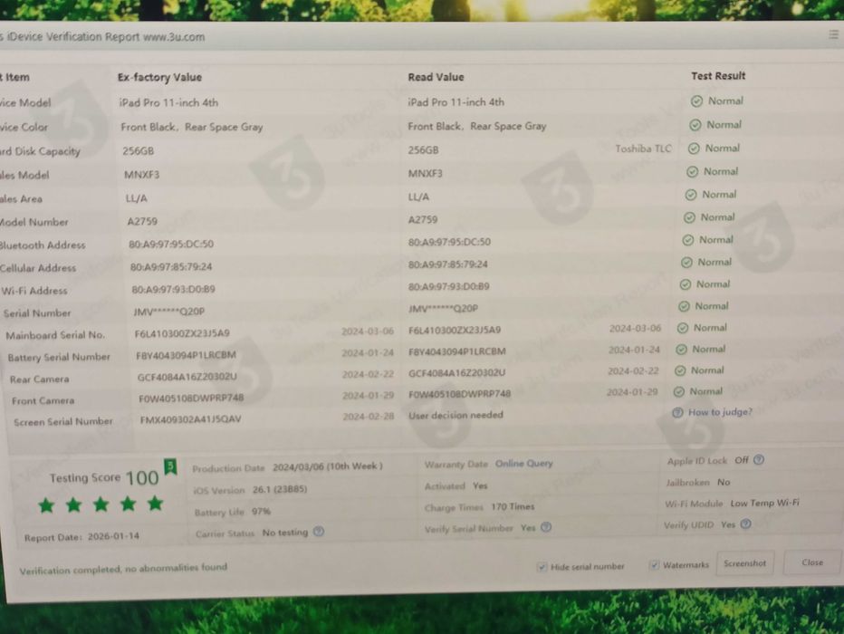 iPad Pro 11 (2022) M2 256GB ідеал