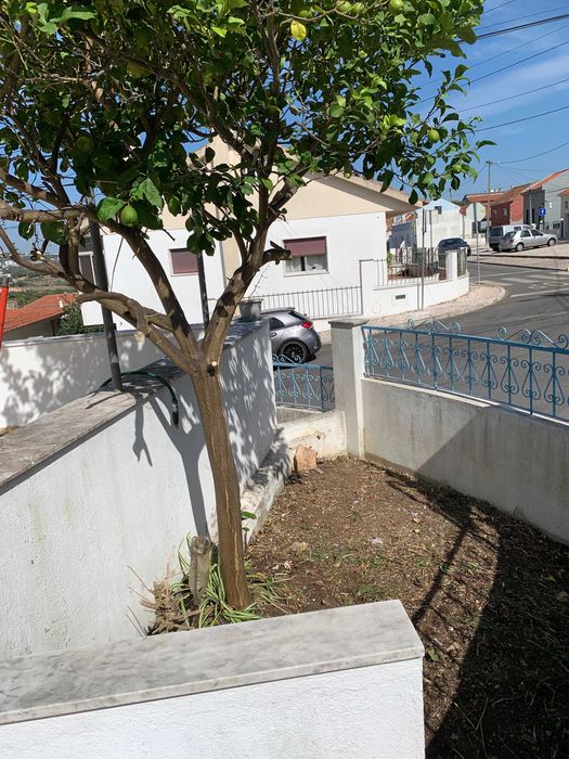 Serviços de limpeza de terrenos e quintal, corte de árvores de médio e pequeno porte