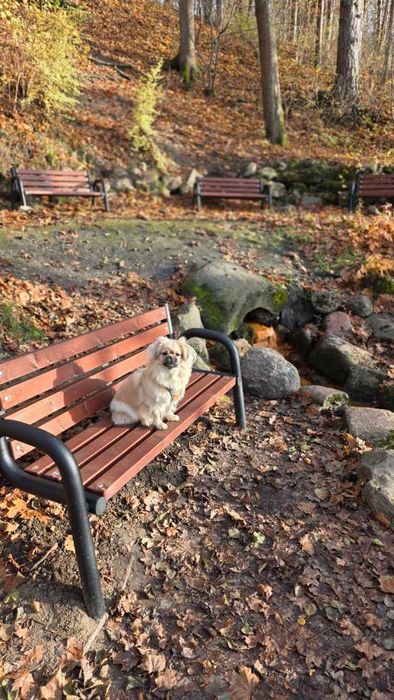 Apartament w Mrągowie – blisko jeziora Czos