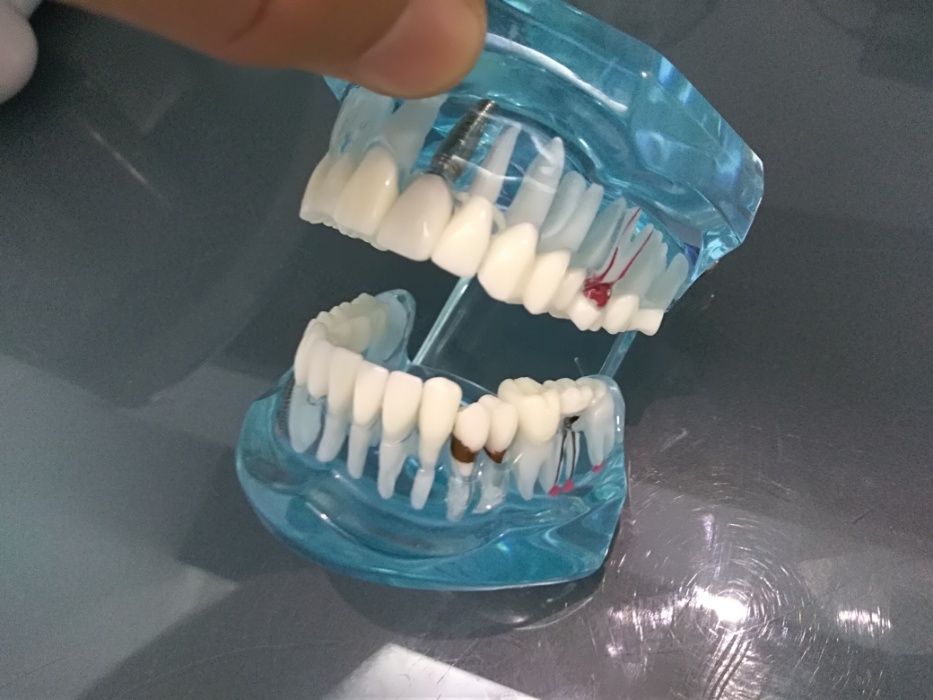 Frasaco estudo Medicina Dentária e outros - novos