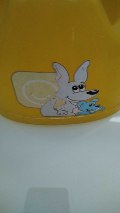 Redutor Sanita + Penico para criança