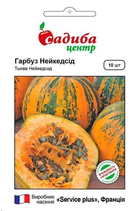 Голонасінне гарбузове насіння Нейкедсід, Українське багатоплідне