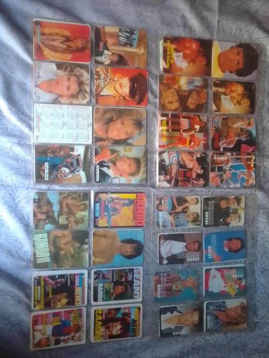 Calendários para coleção muita variedade