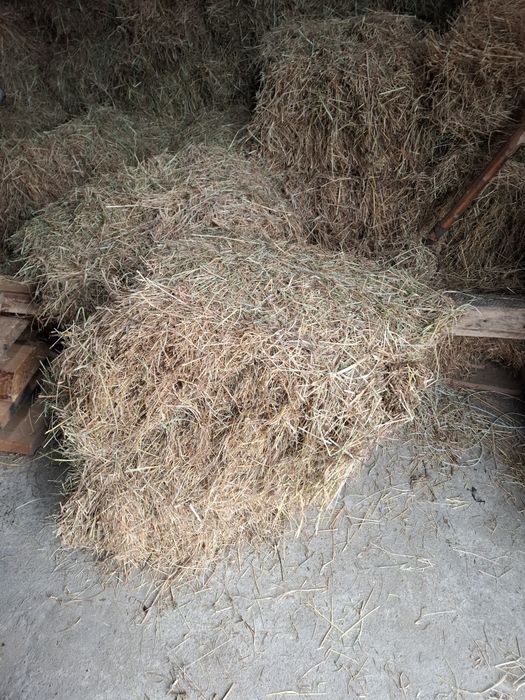 Sprzedam siano,kostka,ok.100szt.