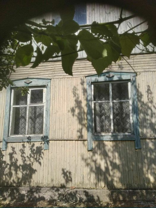 Будинок з землею Велика Снітинка Київська обл.