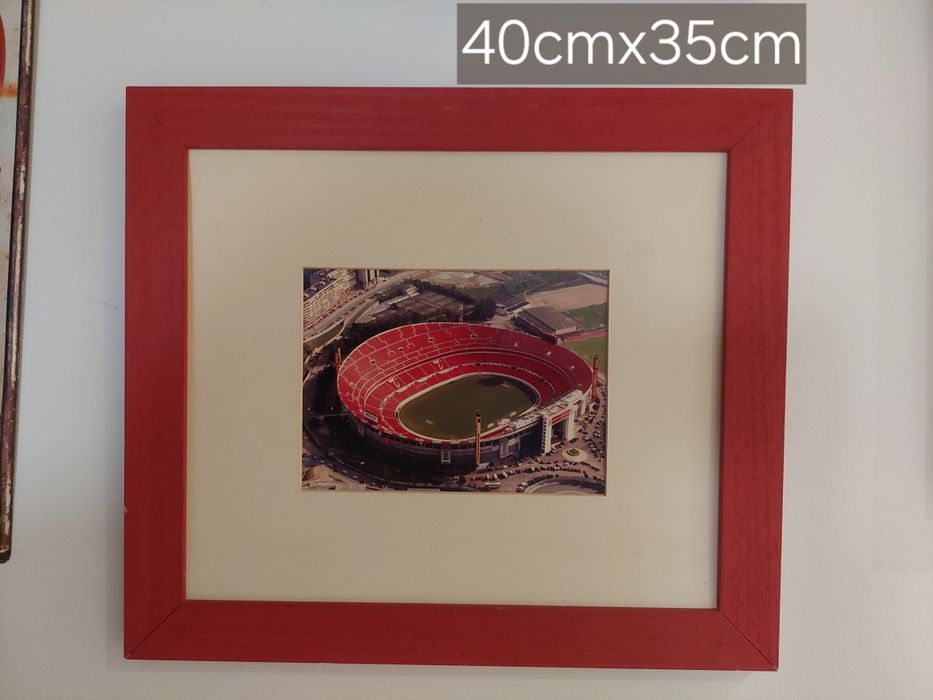 estádio luz 1954 Benfica