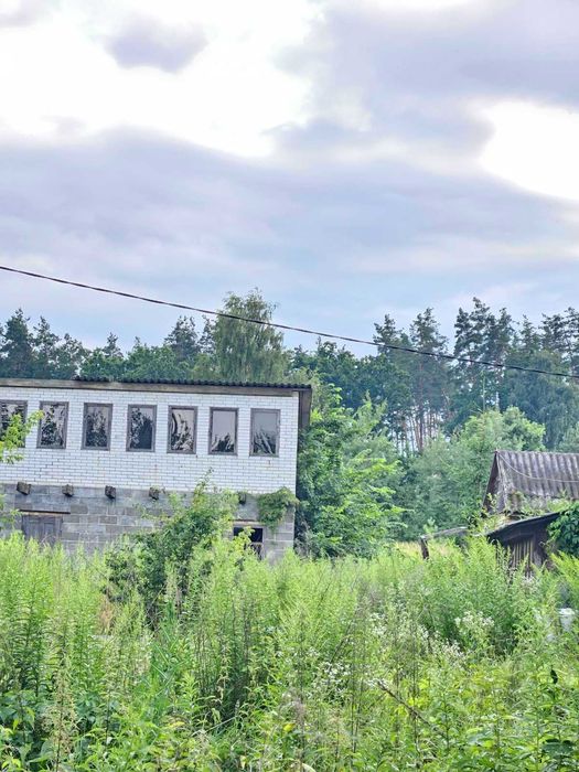 Дзвінкове 27 соток неподалік від лісу