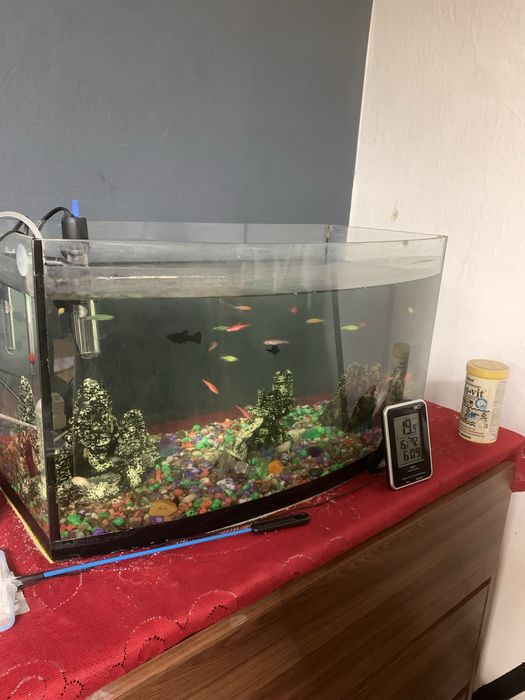 Sprzedam amwarium z filtrem i pompkom i rybami