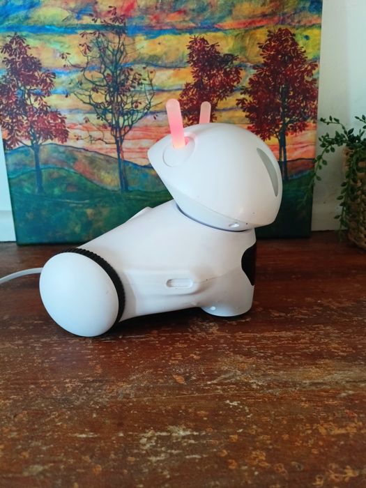 Photon robot edukacyjny