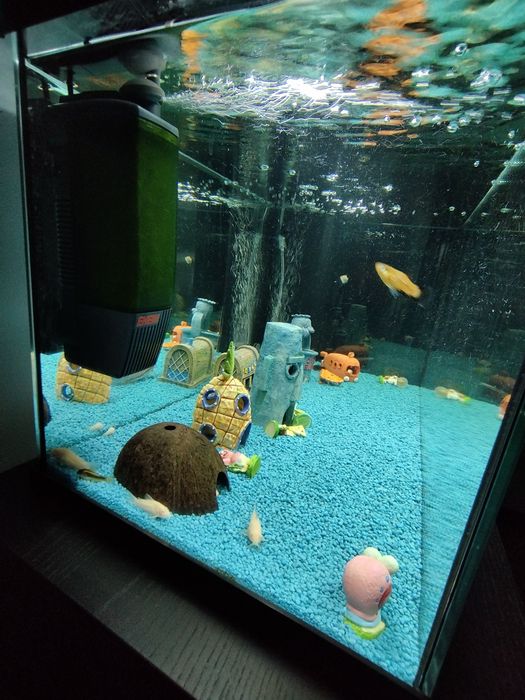 Vendo Aquário Juwel com 120L