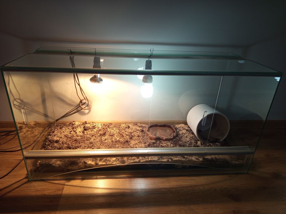 Duże terrarium z oświetleniem