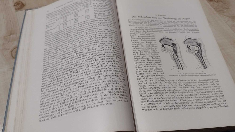 Książka Lehrbuch der Physiologie des Menschen