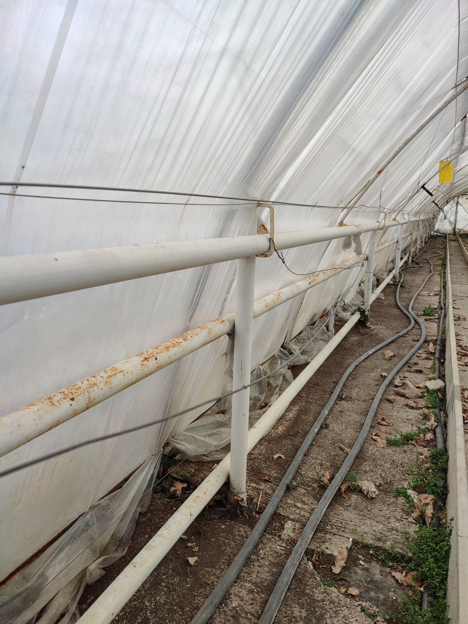 rura-2-5-cala-stalowa-s-upki-wilamowice-olx-pl