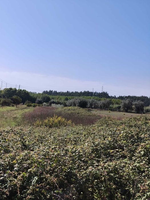 Terreno para venda