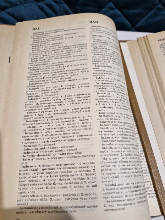 Wielki słownik polsko-rosyjski 2 tomy książka