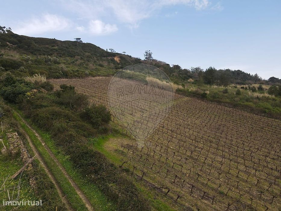 Terreno  para venda