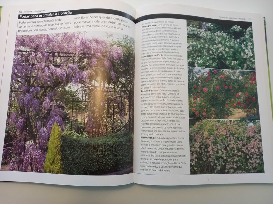 Horta e Jardim (400 páginas)