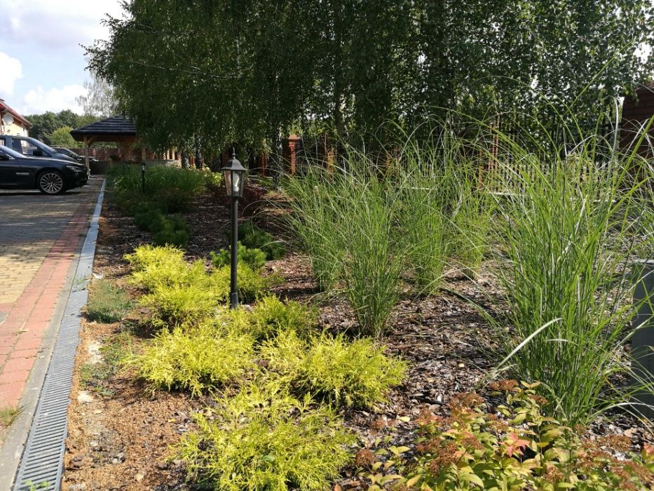 Projektowanie ogrodów, systemy automatycznego podlewania