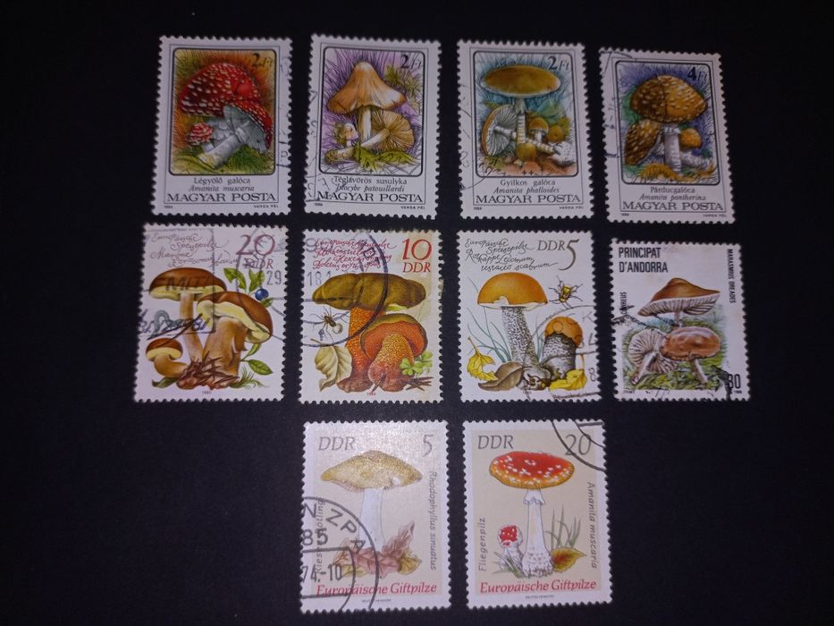 selos só fauna e flora