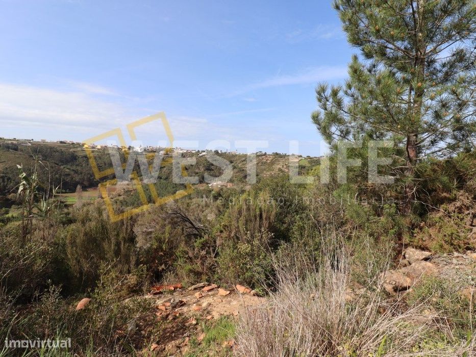 Terreno na Carvoeira - 2 Terrenos Rústicos com um Total de 9187m2