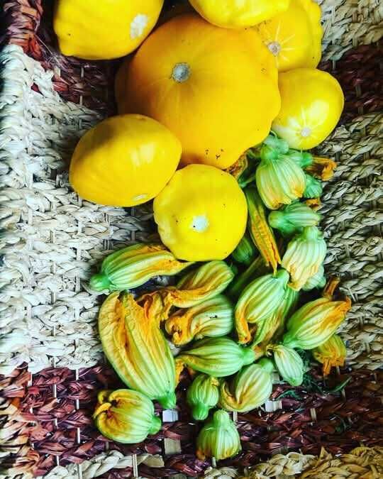 Приму в Дар овощи: кабачки, патисоны, перец, баклажаны, цукини.