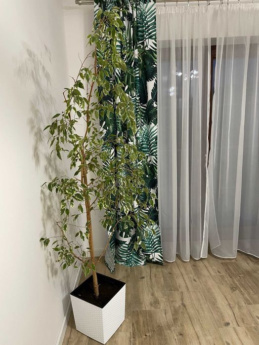 Piękne Mieszkanie Apartament 100m2! do 9 osób!Noclegi Pokoje