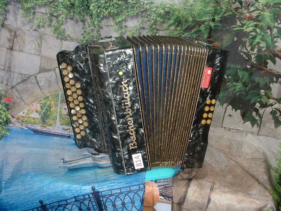 Concertinas a venda N.814 Póvoa de Penela • OLX Portugal