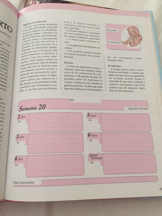 Conj livros Agenda Grávida; Guia Gravidez; Bebé mês a mês