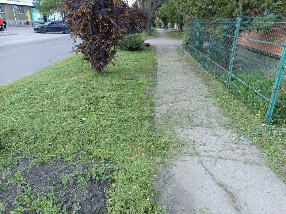 Покос трави, косіння бензокосой, розчищення ділянок