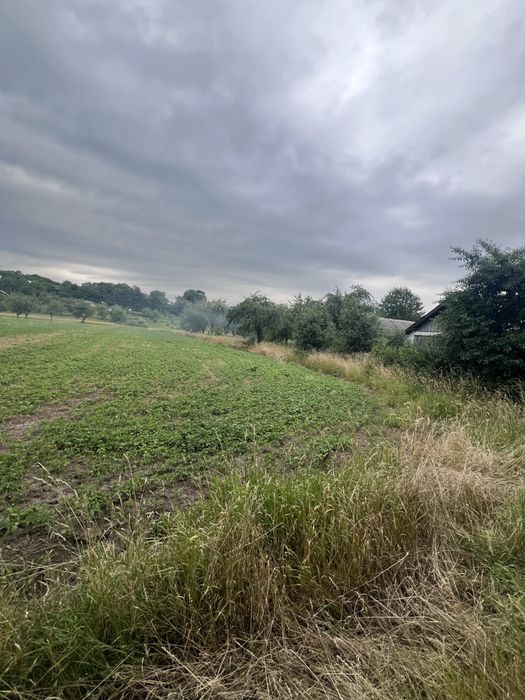 Продам будинок з земельною ділянкою