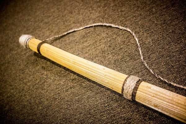 Дощовиця | Дощ | Палиця дощу з борщівника | Rain stick