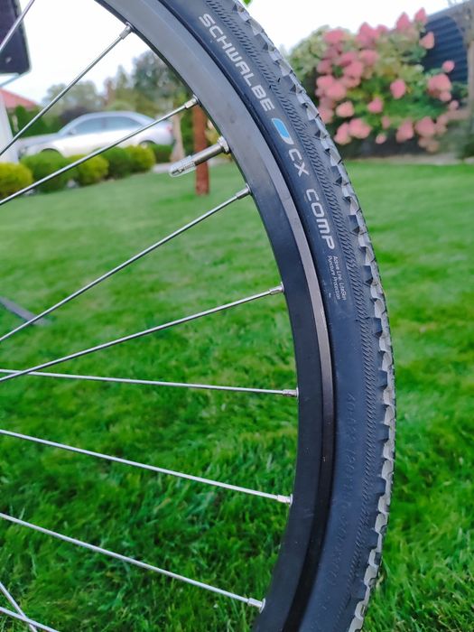 Focus Lost Lagoon Rama M Koła 28