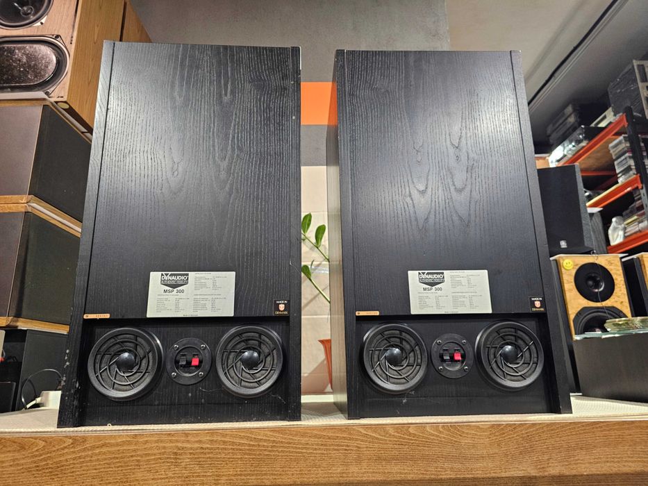 ТОП Dynaudio MSP 300 200 Вт / 350 Вт / 1000 Вт