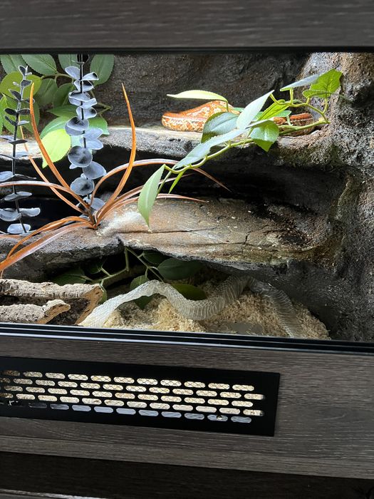 Terrarium 90cm dla węża