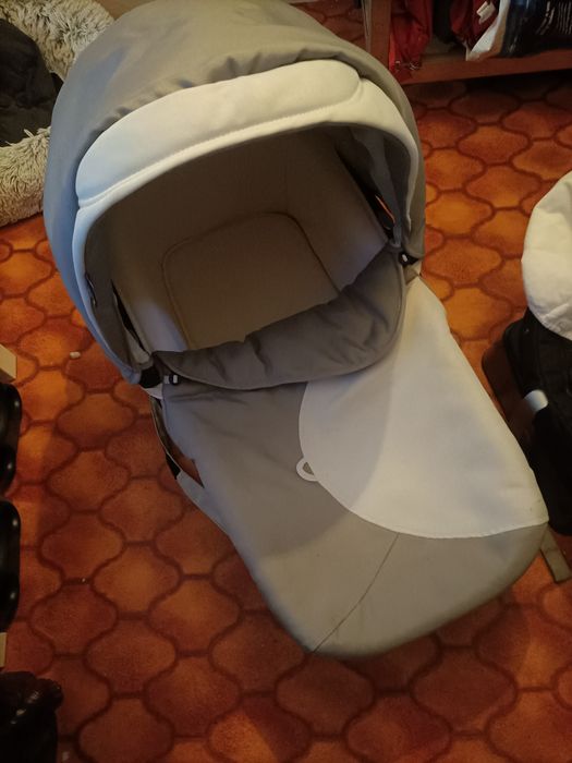 Alcofa chicco chicco