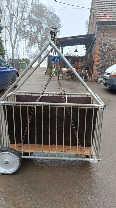 Poskrom, waga dla Owiec