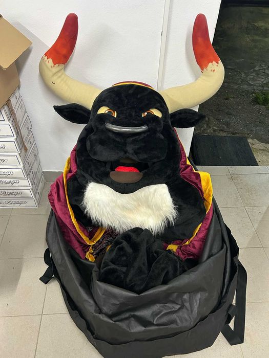 Mascote Exclusiva do Carnaval de Estarreja