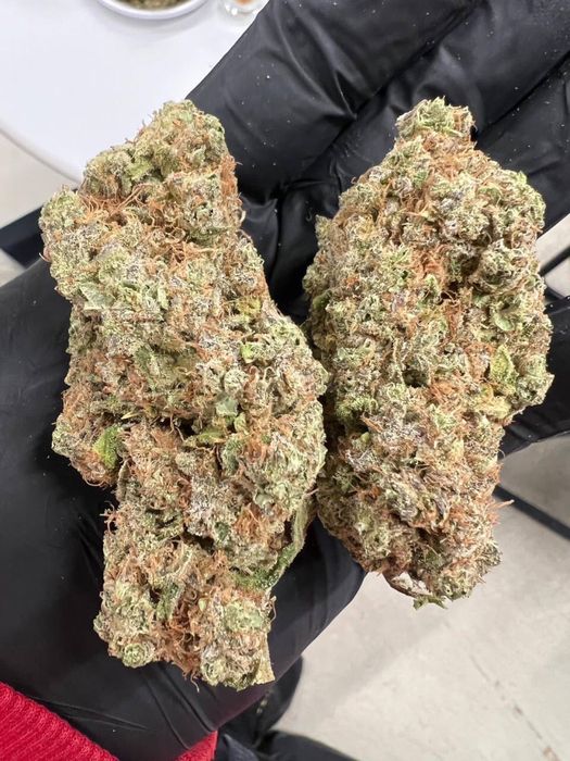 Susz cbd PREMIUM 1:1