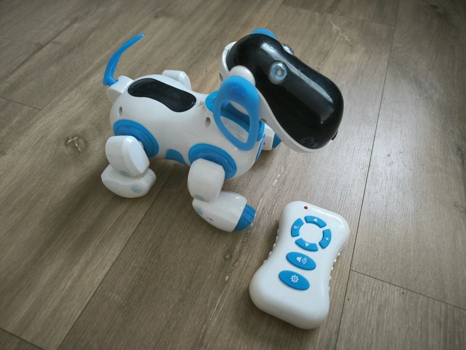 Pies robot interaktywny zdalnie sterowany