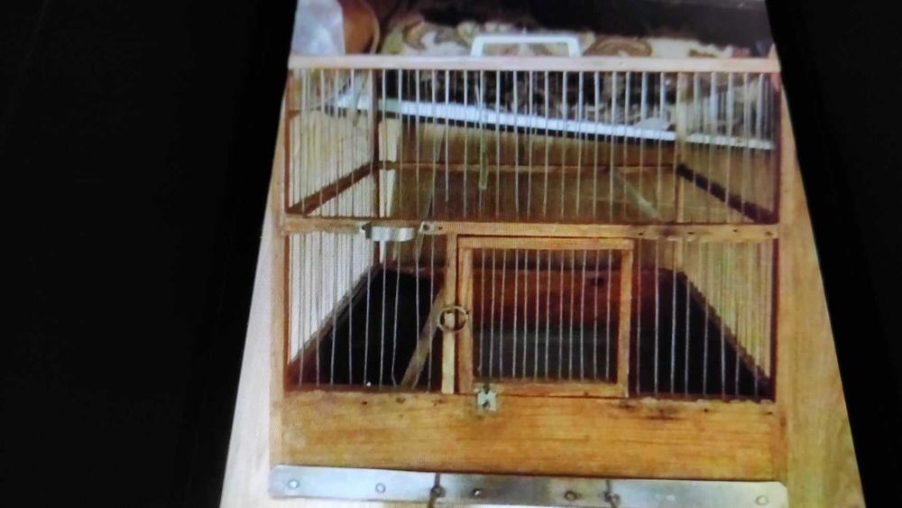 Клітка для папуги