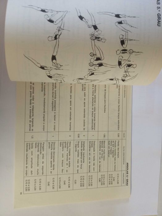 Progressão Pedagógica Masculina - Graus Ginástica