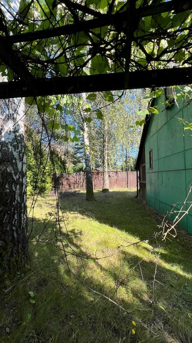 SPRZEDAM DZIAŁKĘ ROD Grochowa 346 m² | woda + prąd