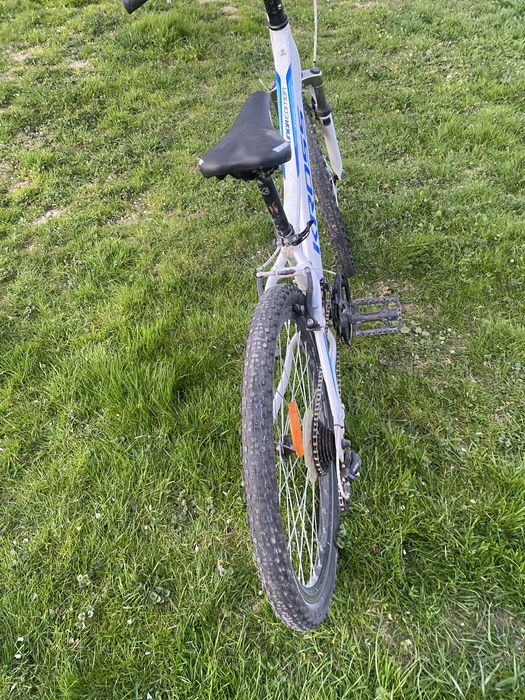 Rower kross bialo niebieski