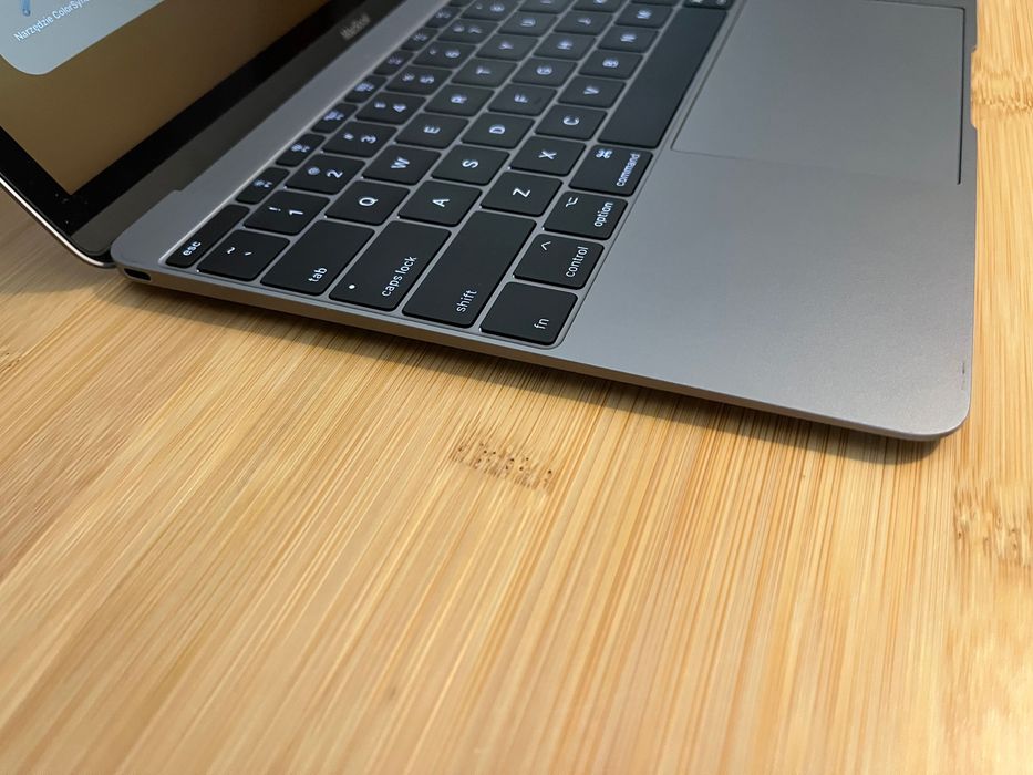 MacBook 12-inch, Early 2016. Intel Core m3, 8 GB RAM, 250 SSD