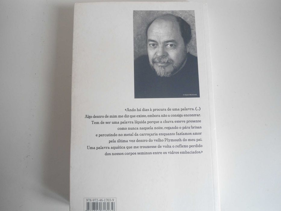 O regresso do Paladino por Antonio Sarabia